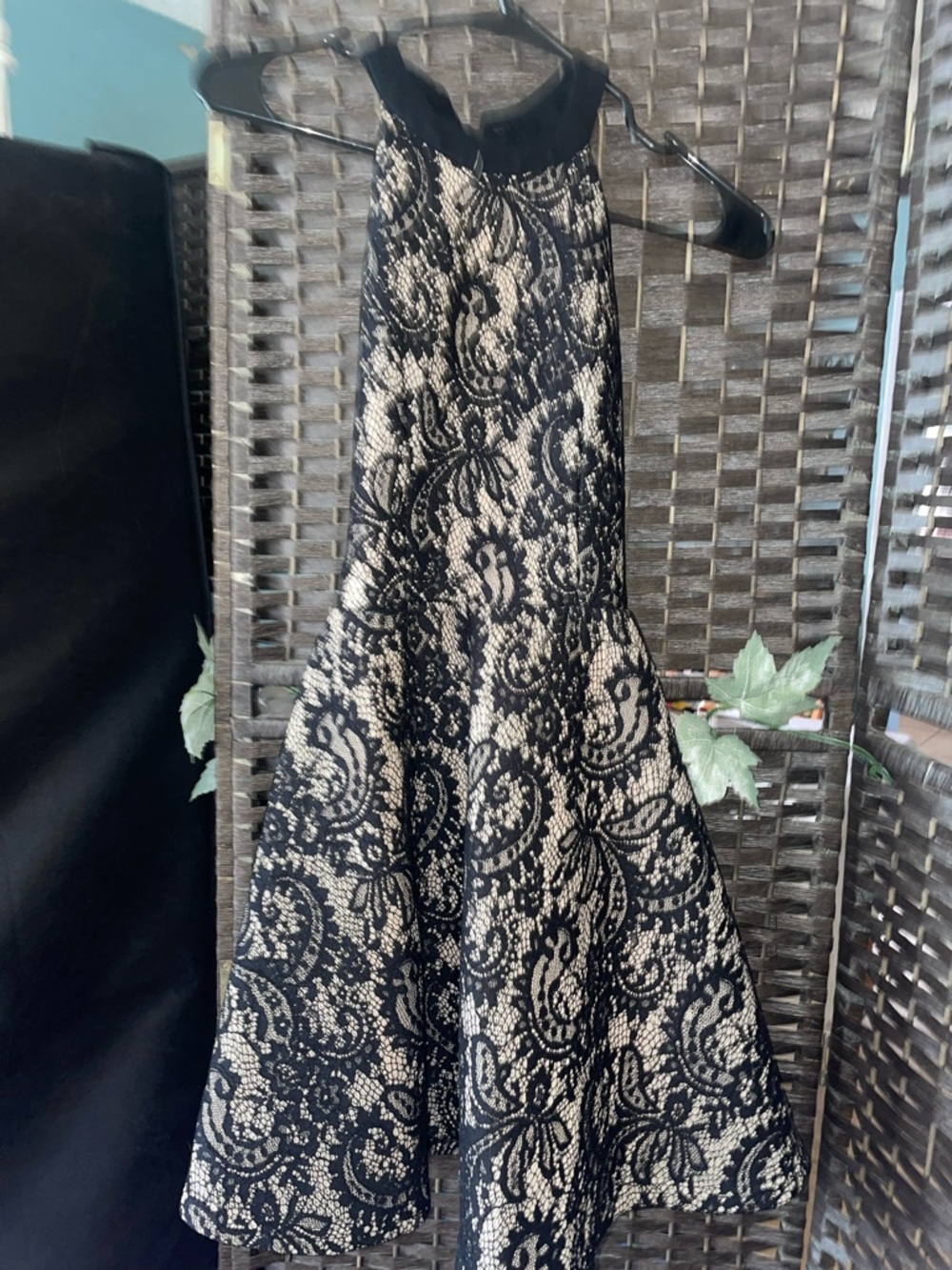 Black Lace-Overlay A-Line Dress with Nude Underlay